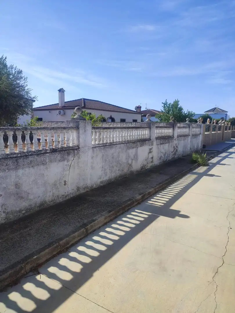 Chalet con piscina en venta en La Carlota, imagen 17