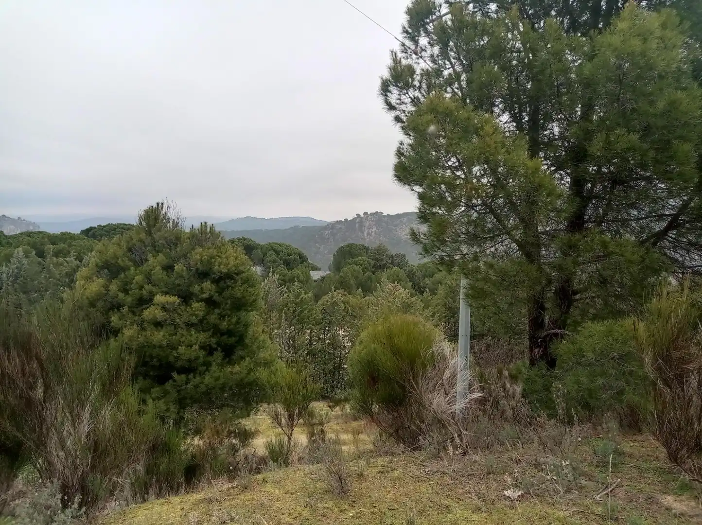 Terreny rústic en venda a San Martín de Valdeiglesias, imagen 19