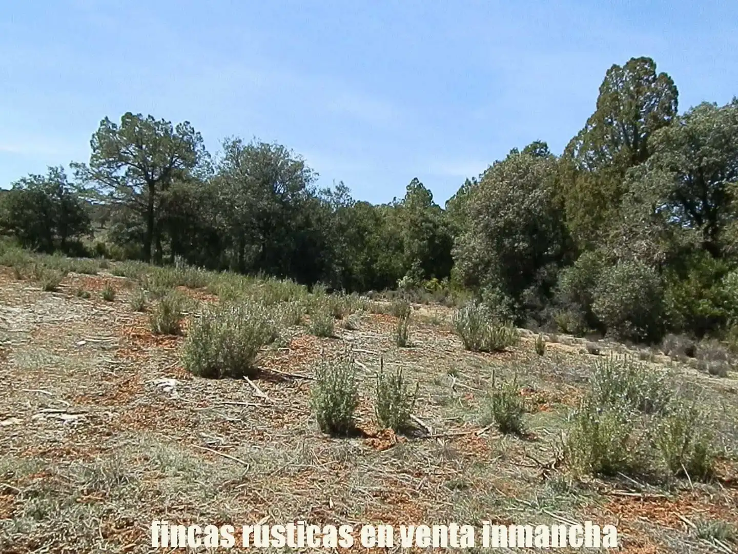 Lands and plots for sale in Ossa de Montiel, imagen 18