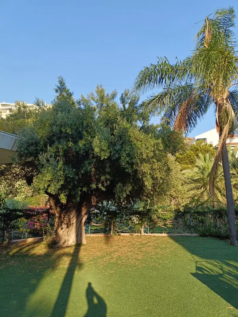 Jardín de Casa o chalet en venta en Cullera con Calefacción, Jardín privado y Terraza
