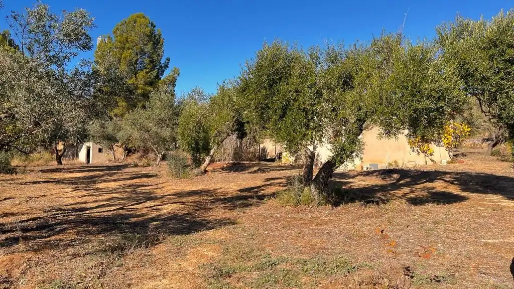 Grundstücke zum Verkauf in Carrer del Dimecres, Riudecanyes