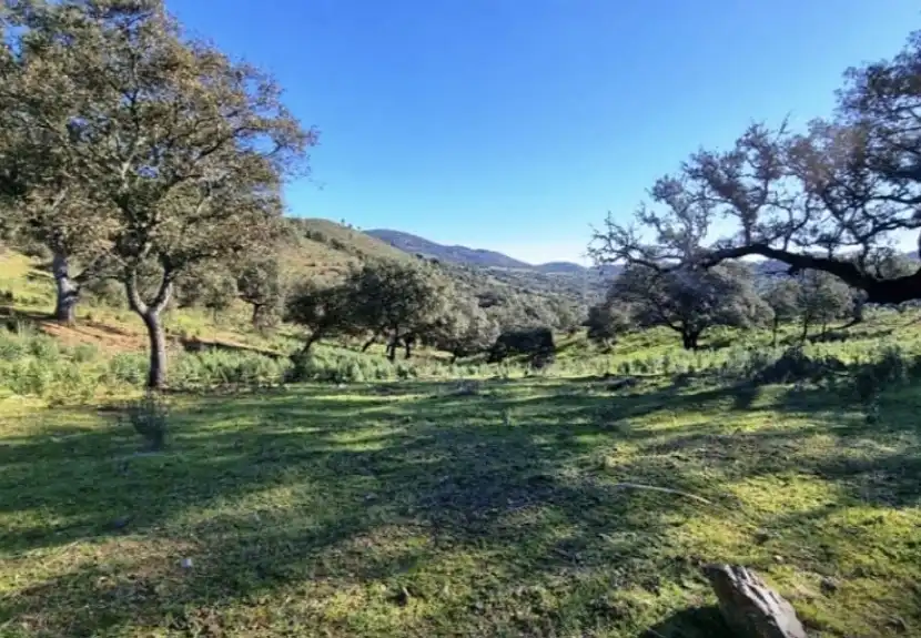 Terreni e lotti in vendita a Zufre, imagen 2