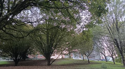 Foto 4 de Piso en venta en Andoain, Gipuzkoa