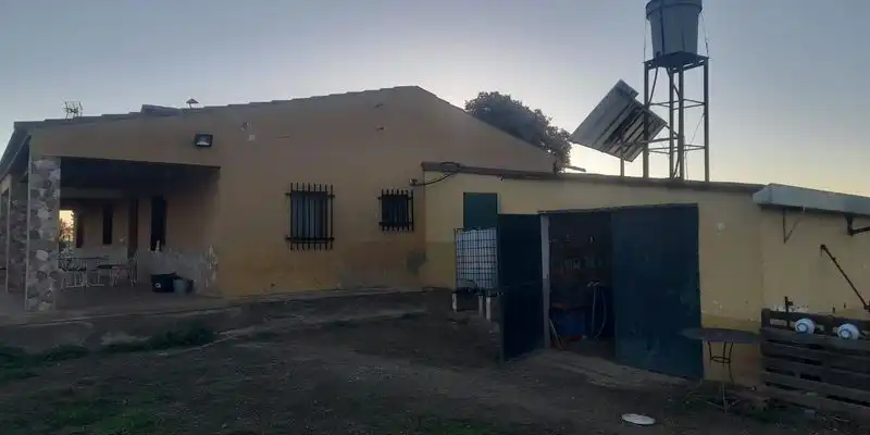 Vista exterior de Finca rústica en venta en Fuente Obejuna con Jardín privado