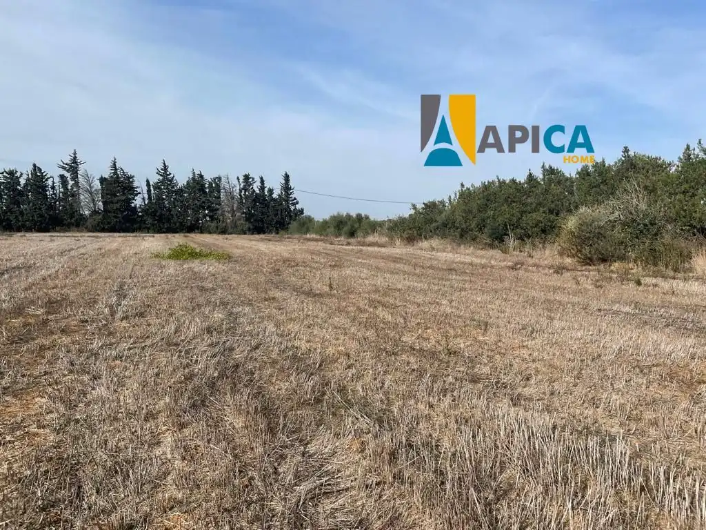 Houses for sale in Roche