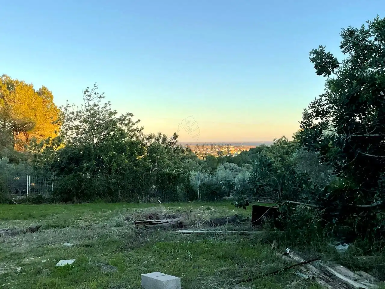 Finca rústica en venta en Amposta con Piscina