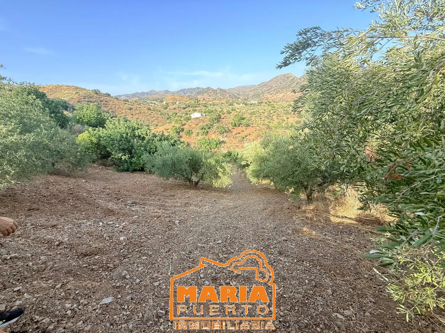 Terreno rustico in vendita a Almogía, imagen 7