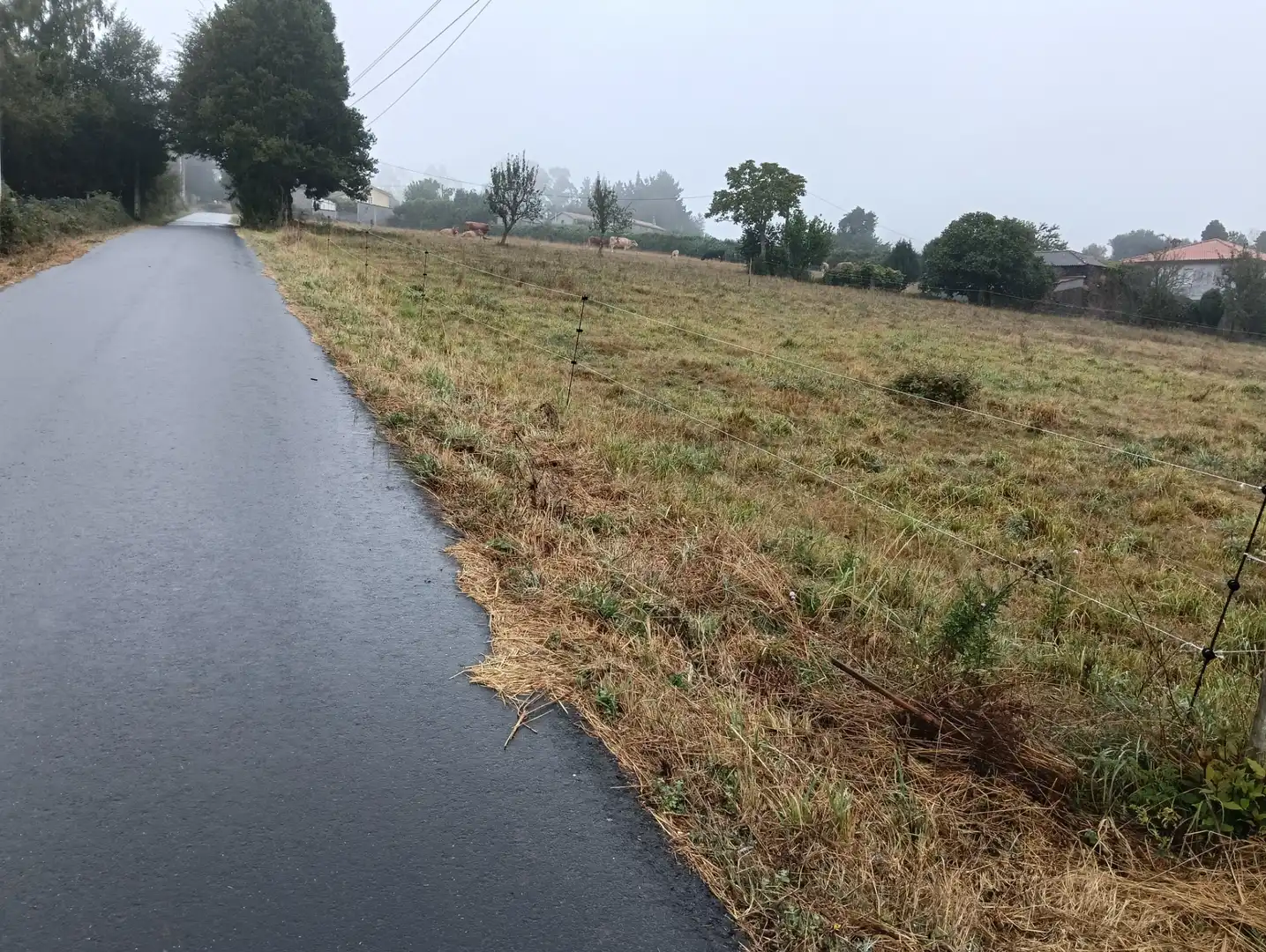 Terreno residenziale in vendita a Lugar Castelo 6, imagen 6