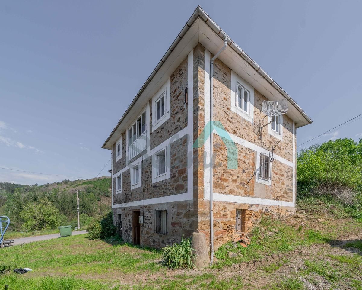 Vista exterior de Casa o xalet en venda en Tineo amb Jardí privat i Parquet