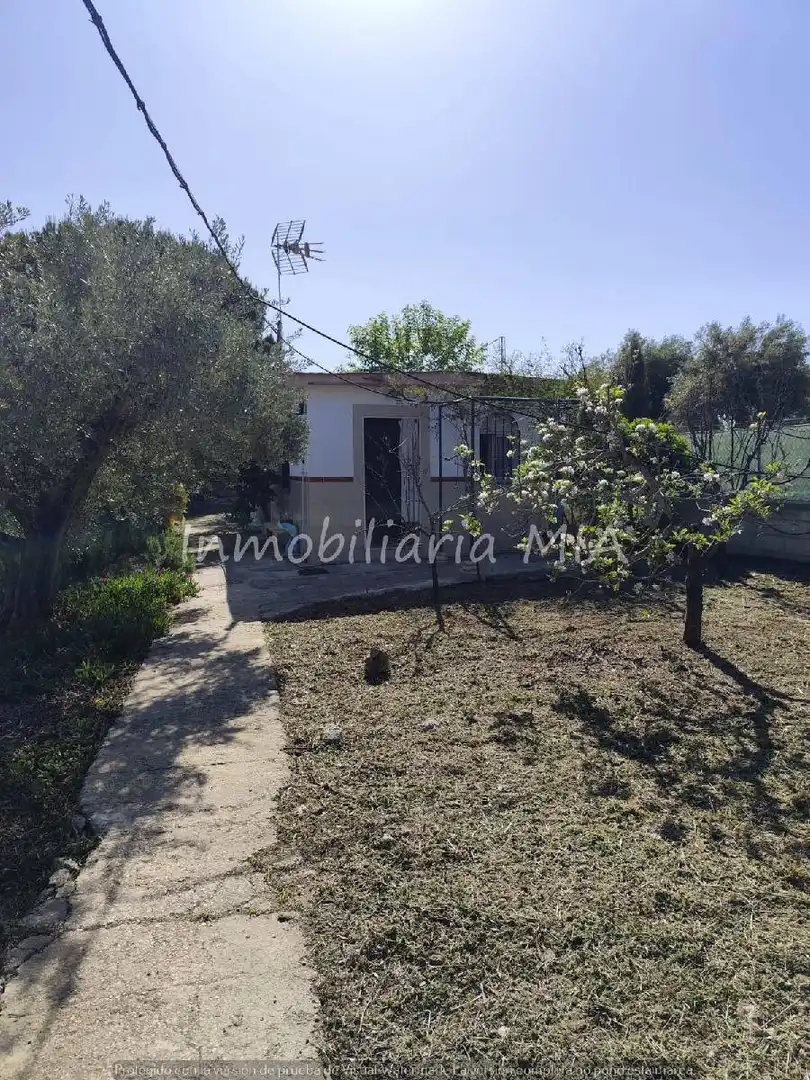 Casa amb piscina en venda a Centro, imagen 24