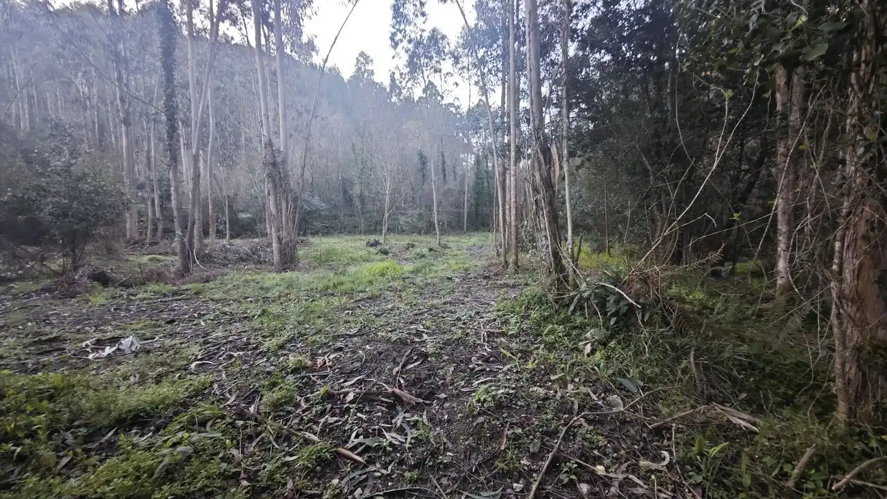 Terreno rustico in vendita a Pría - Nueva-Hontoria - Naves, imagen 2