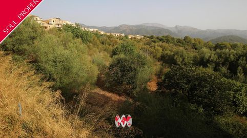 Solar urbano en Campanet, Mallorca, Islas Baleares
