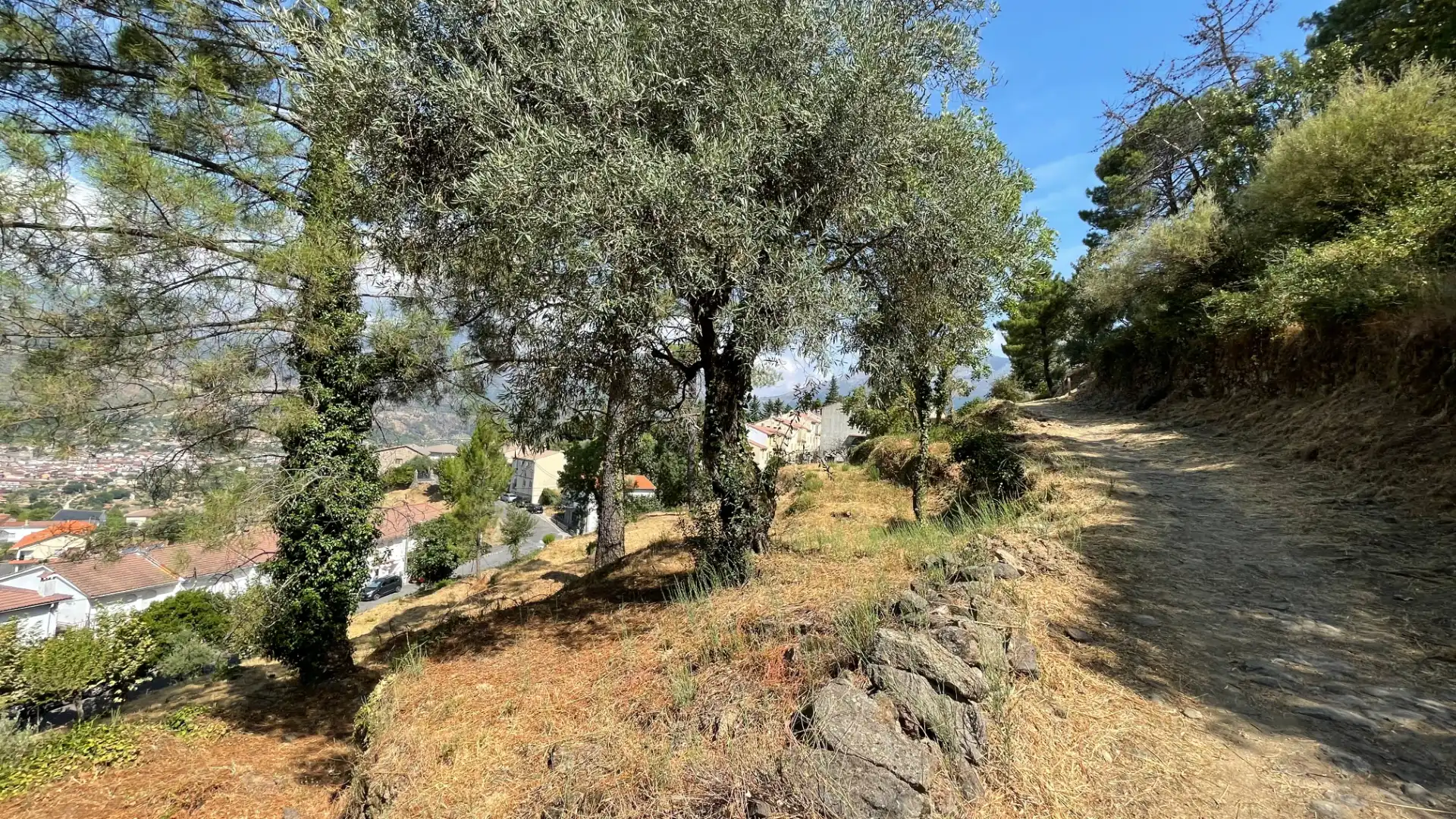 Residential land for sale in Avenida Antonio Machado 14, imagen 15