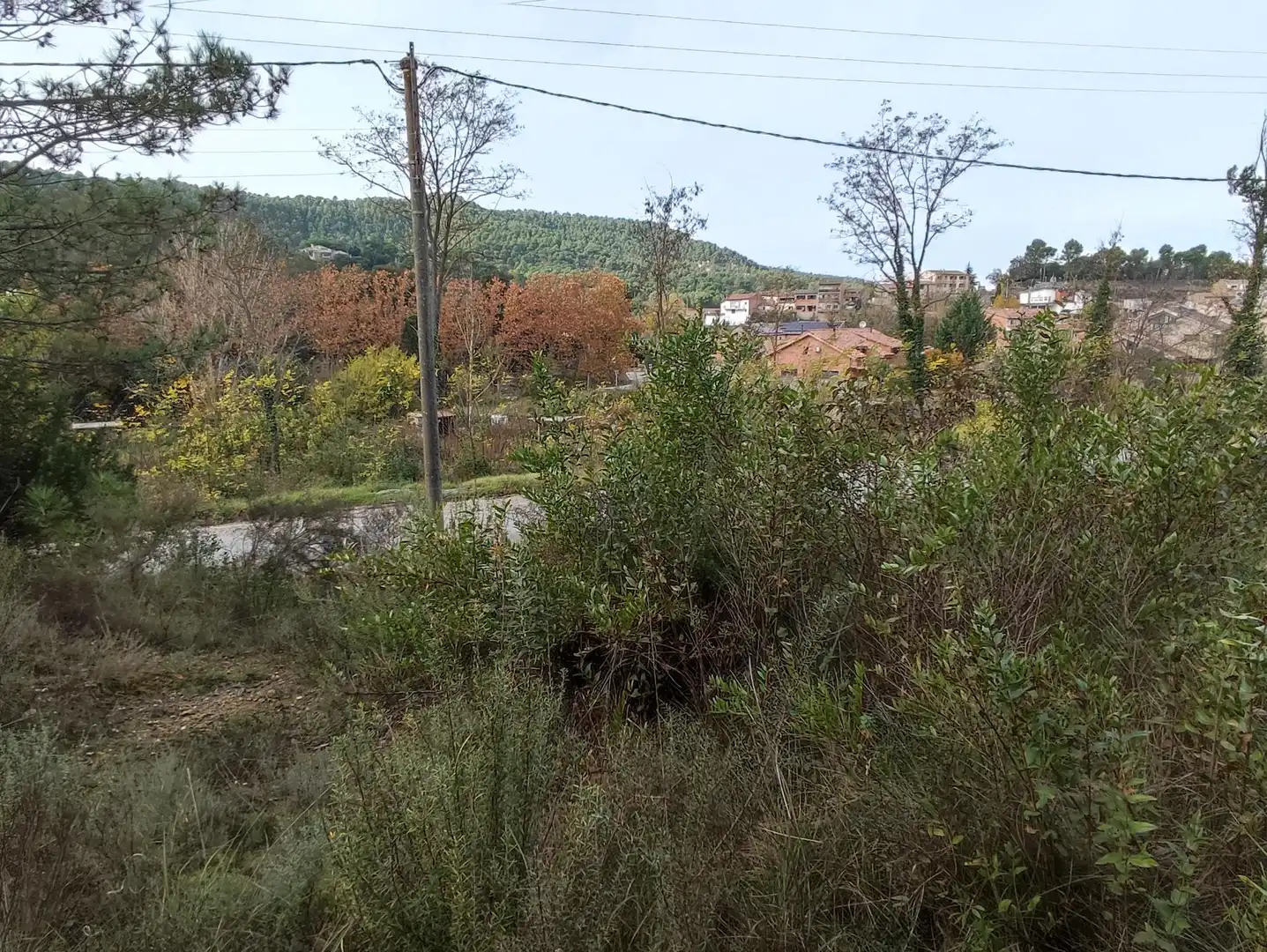 Terrain rustique à vendre à Monistrol de Calders, imagen 42