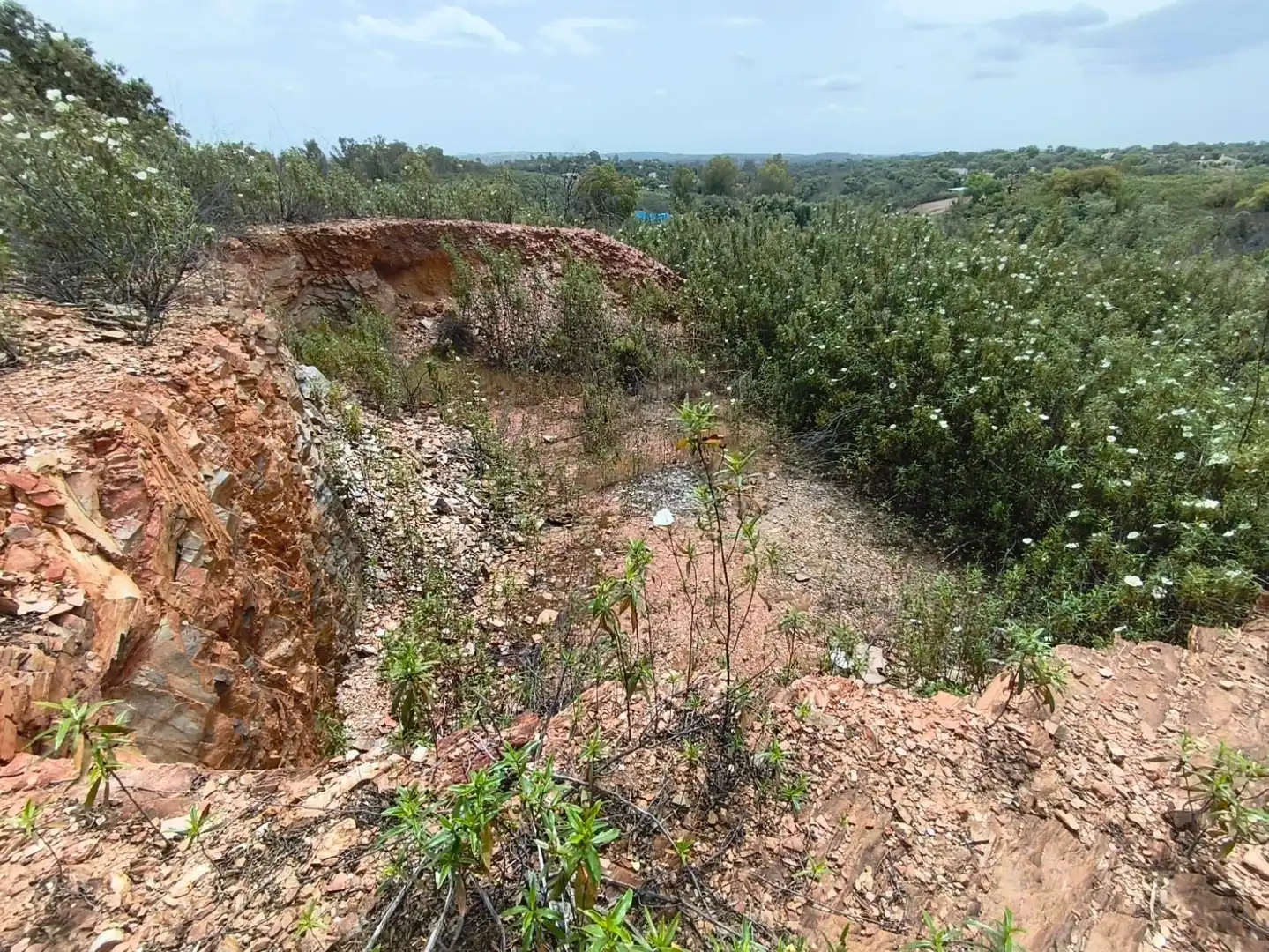 Rural land for sale in Los Lagos, imagen 8