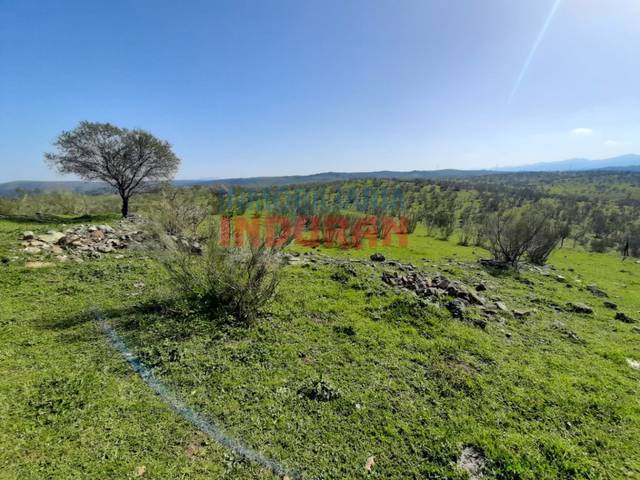 Casa-chalet en Venta en Valdelacasa de Tajo