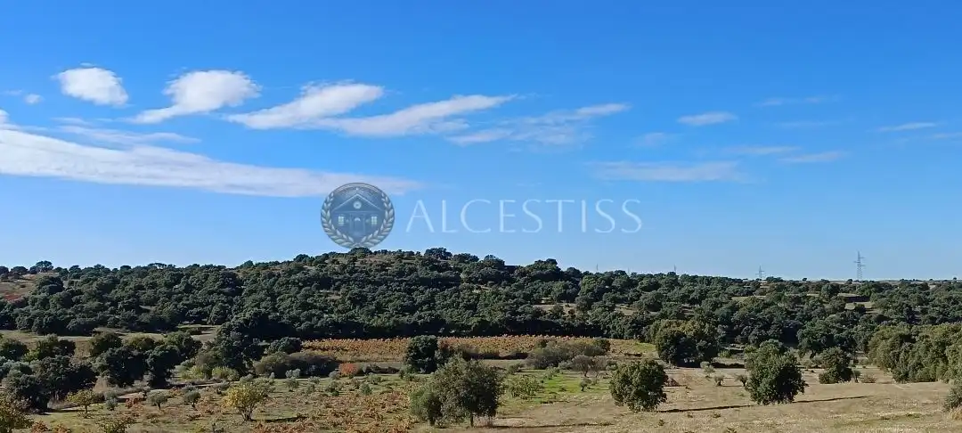 Terreno rústico en venta en Villamanta