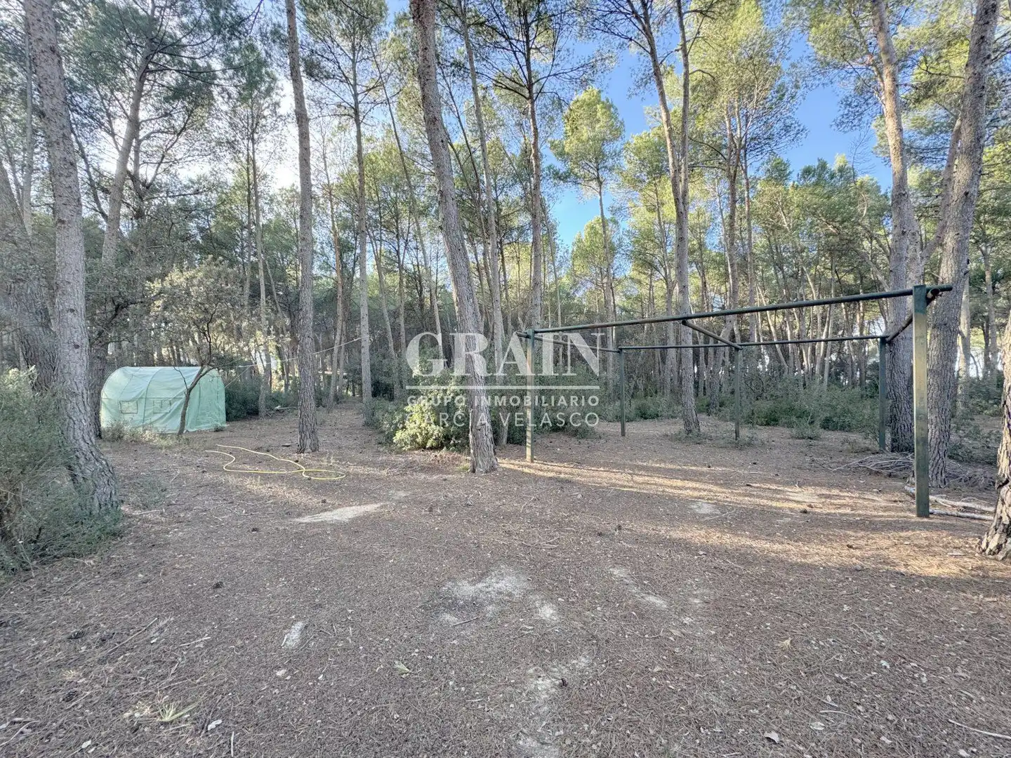 Casa o chalet en venta en Albacete con Jardín privado