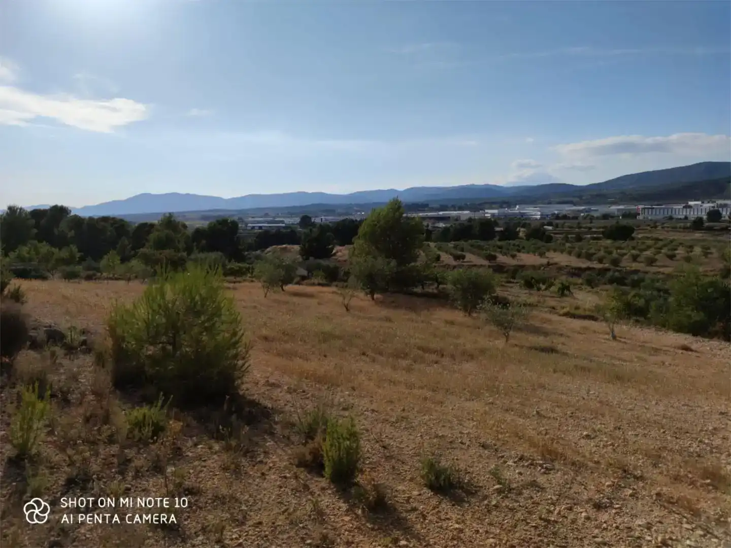 Finca rústica en venda en Ibi