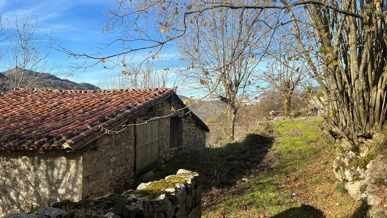 Terreno rustico in vendita a Cangas de Onís, imagen 13