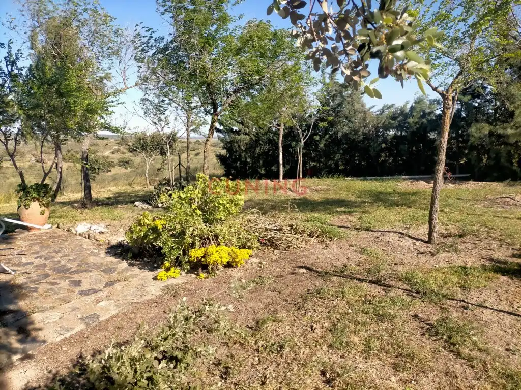 Casa rustica in vendita a Poligono 2 Paraje 95 Dehesa Boyal, imagen 18