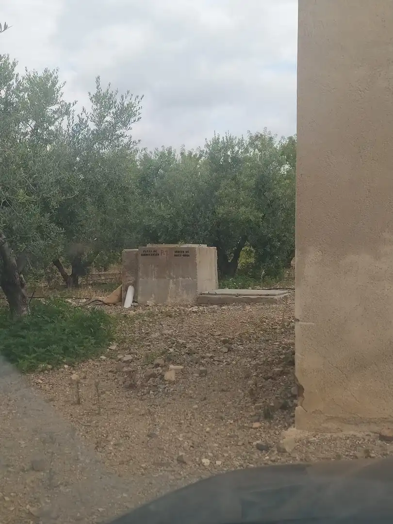 Terreny rústic en venda a Montbrió del Camp, imagen 5