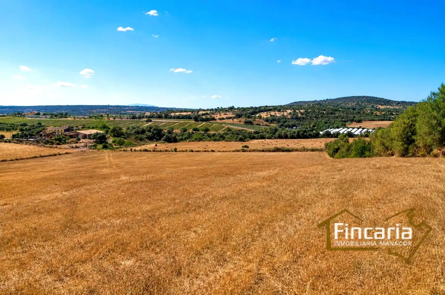 Terrenys i solars en venda a Camí de sa Murtera