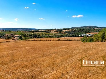 Terrenos y solares en venta en Camí de sa Murtera
