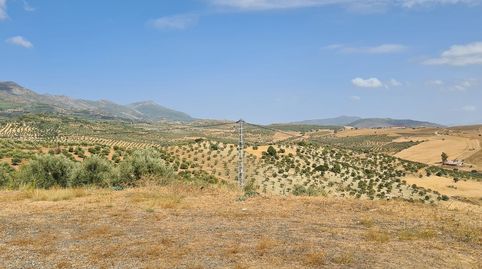 Photo 5 of Country homes for sale in Alozaina, Málaga