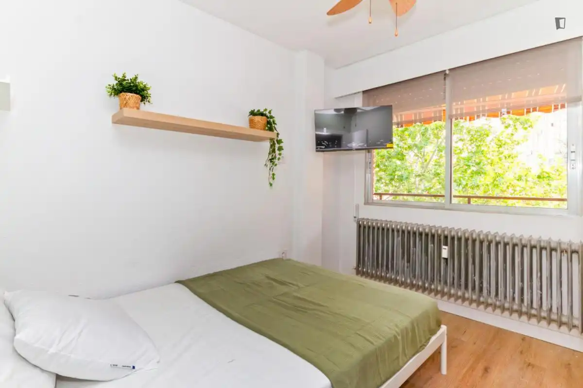 Room in Rinconada