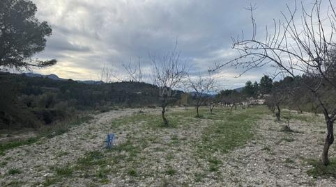 Photo 4 of Land for sale in Benimarfull, Alicante