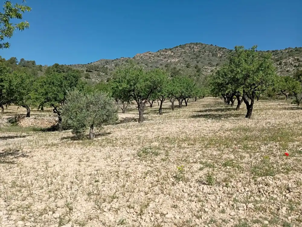 Piso en venta en Salinas