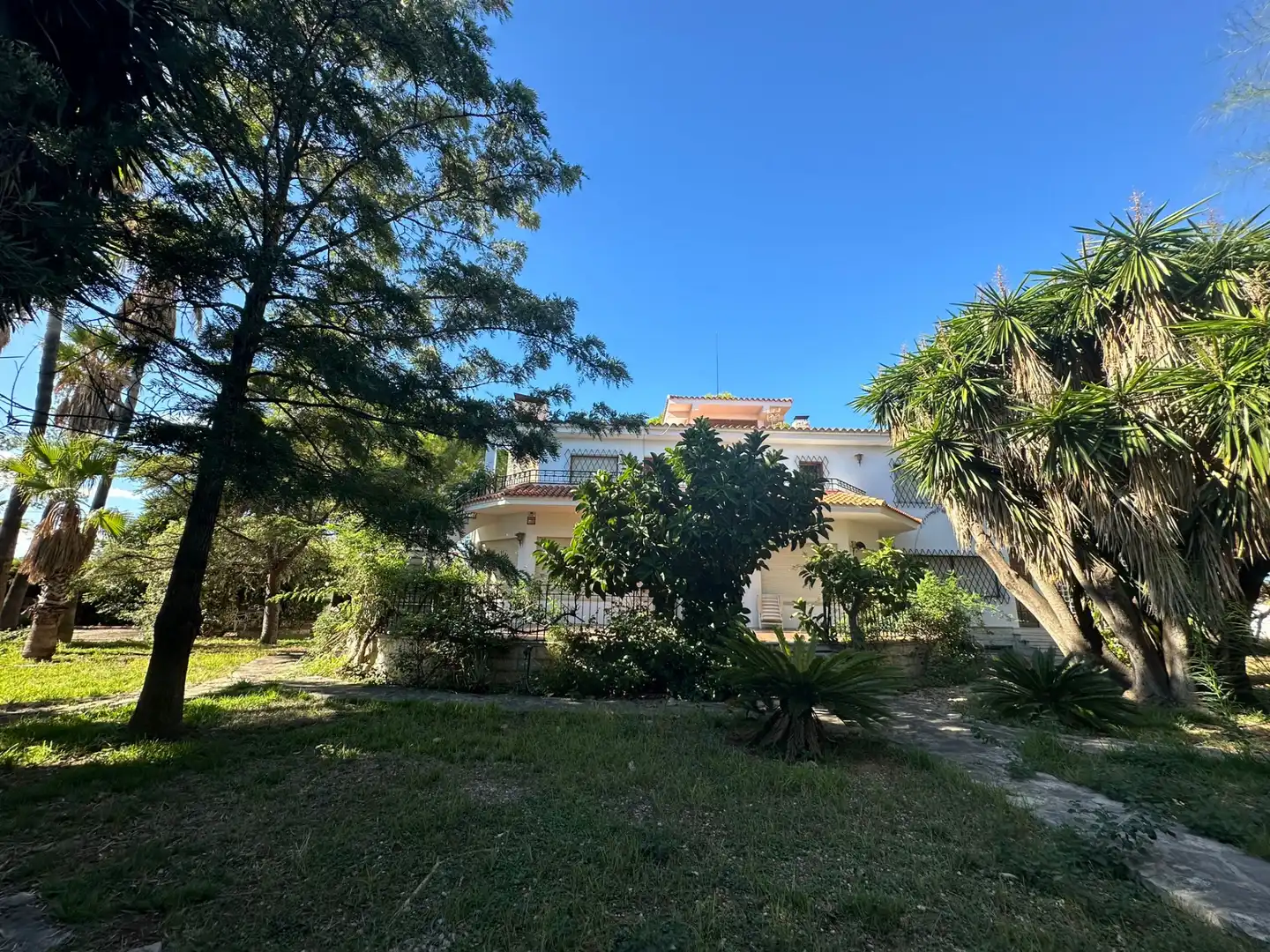 Casa con jardín en venta en Carrer de Plácido Hidalgo Castro, imagen 4