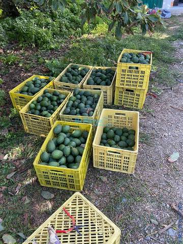 Terreno residencial en Venta en Camino Algarrobo - Las Arenas