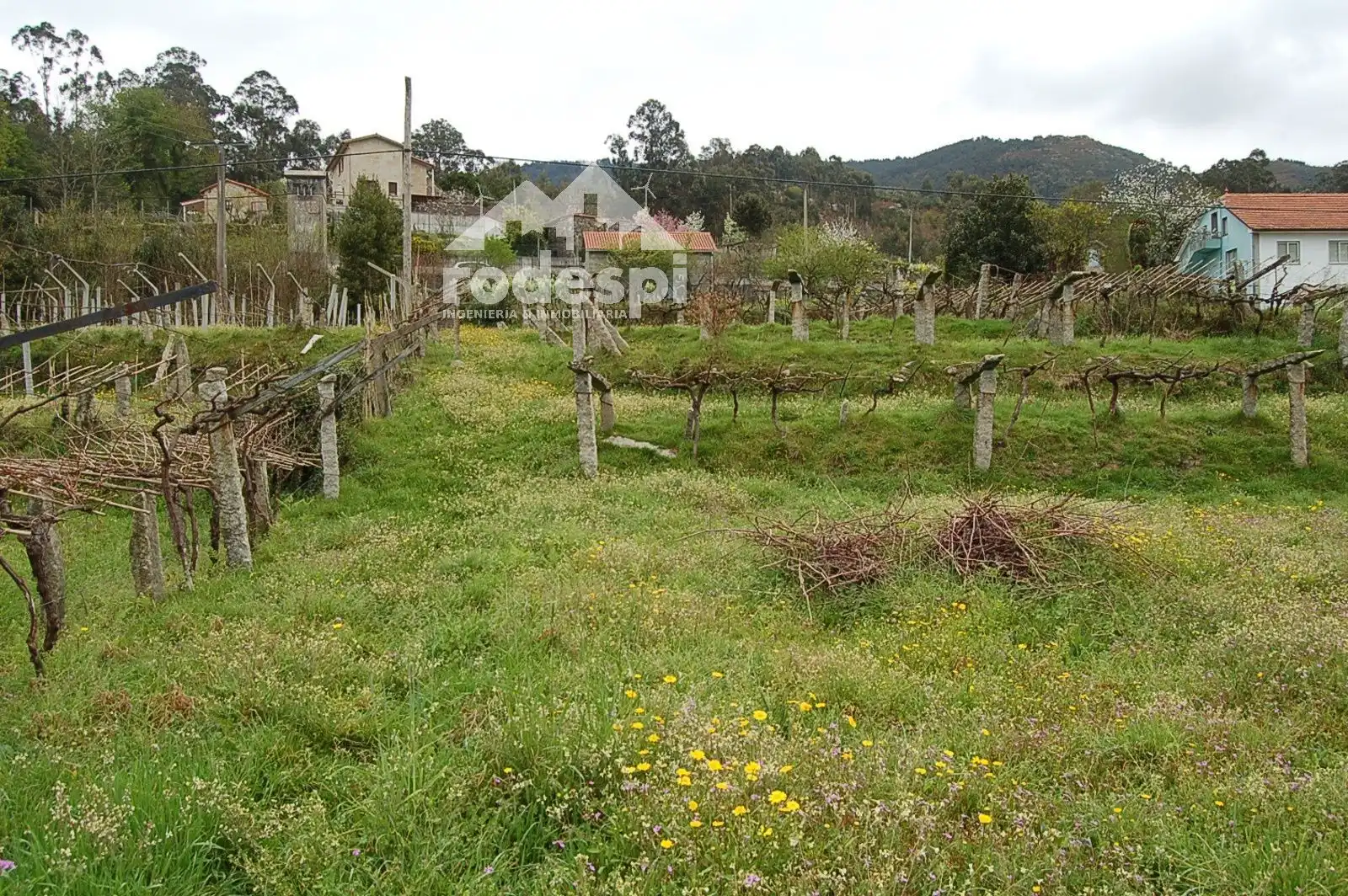 Terrain rustique à vendre à As Neves