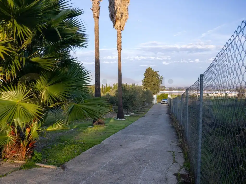 Exterior view of Houses for sale in Jerez de la Frontera