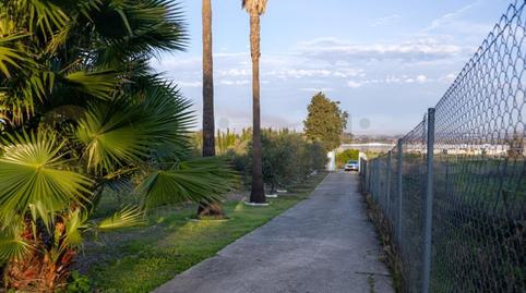Foto 5 de Casa o xalet en venda a El Rocío - La Milagrosa, Cádiz