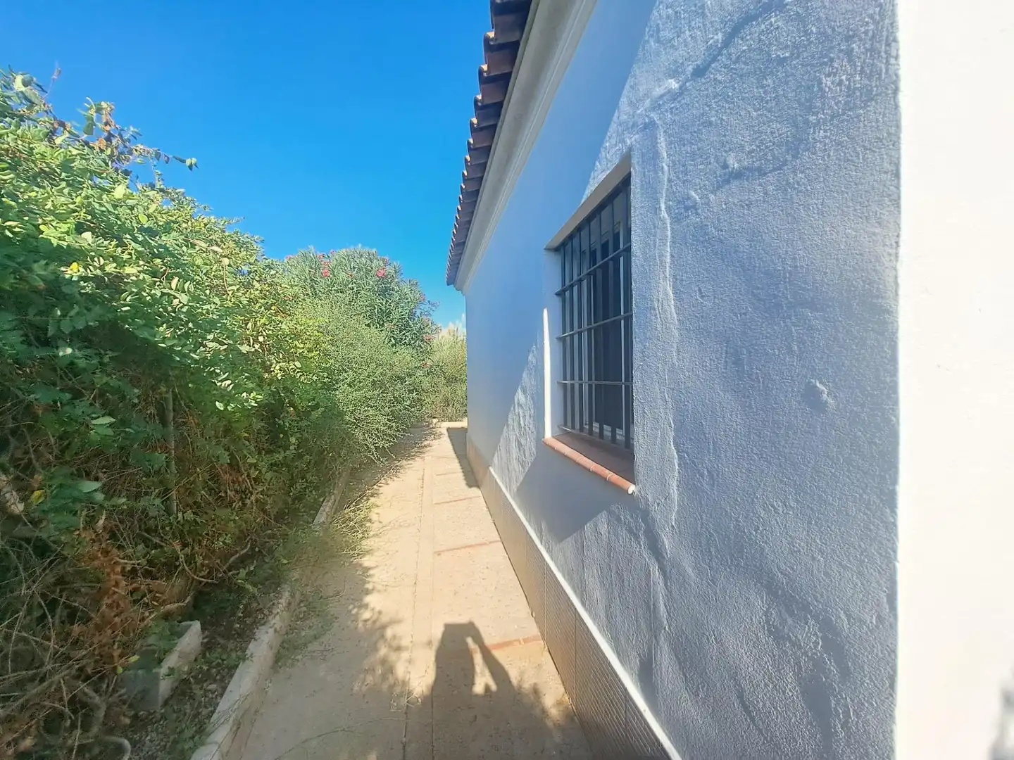 Chalet en venta en Los Franceses – La Vega, imagen 20