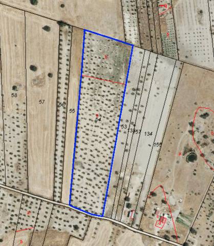 Terreno en Venta en La Haba