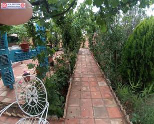 Jardí de Nau industrial en venda en Alcázar de San Juan