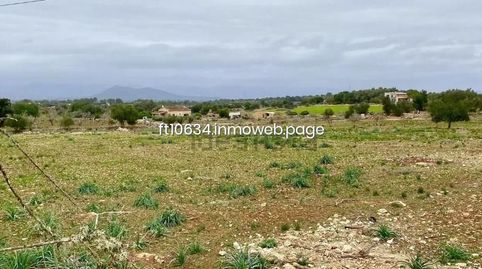 Foto 2 de Casa o chalet en venta en Sineu, Illes Balears