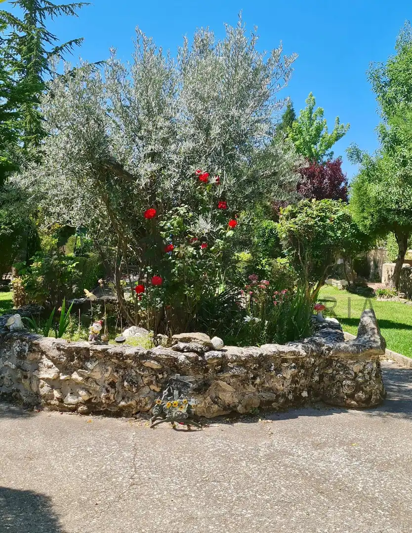Jardín de Casa o chalet en venta en Prádena con Calefacción y Jardín privado