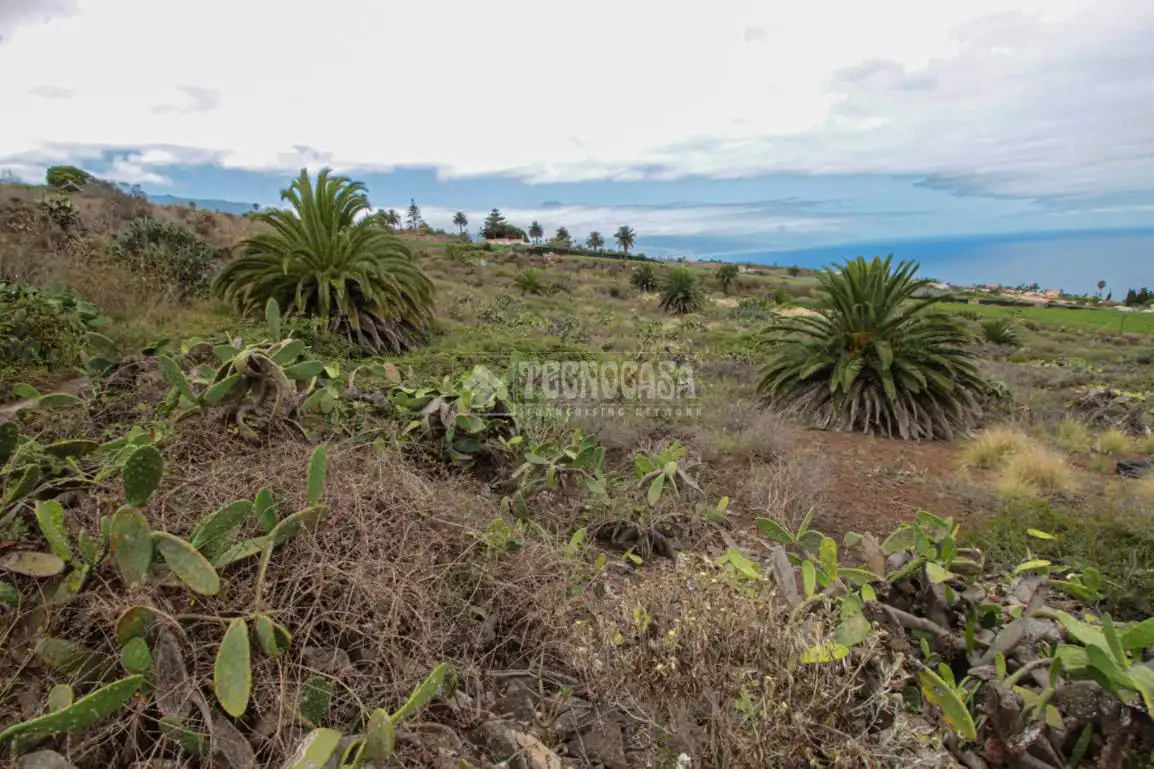 Terreno en venta en El Pris - Juan Fernández