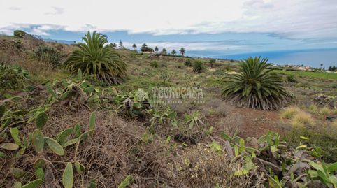 Foto 4 de Terreno en venta en El Pris - Juan Fernández, Tacoronte