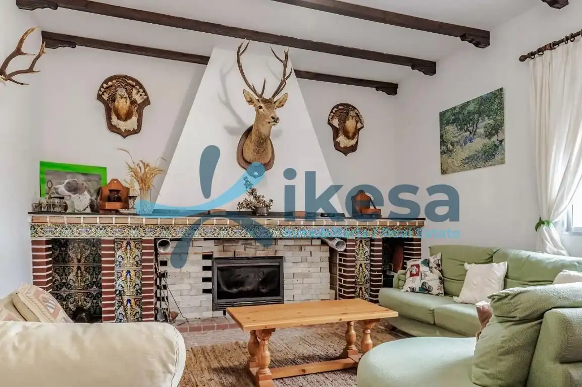 Living room of Land for sale in Puebla de Guzmán