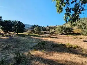 Terreni e lotti in vendita a Losar de la Vera, imagen 29
