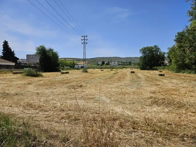 Terrenys i solars en venda a Poleares, imagen 2