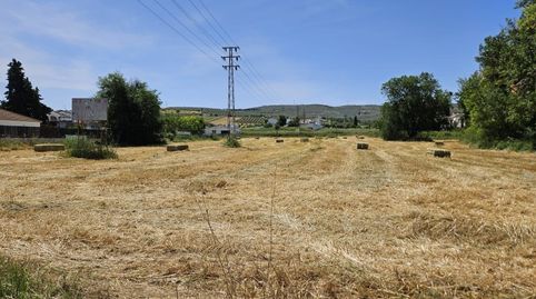 Terreno Urbanizable en Venta en  Lucena, Córdoba, imatge 2
