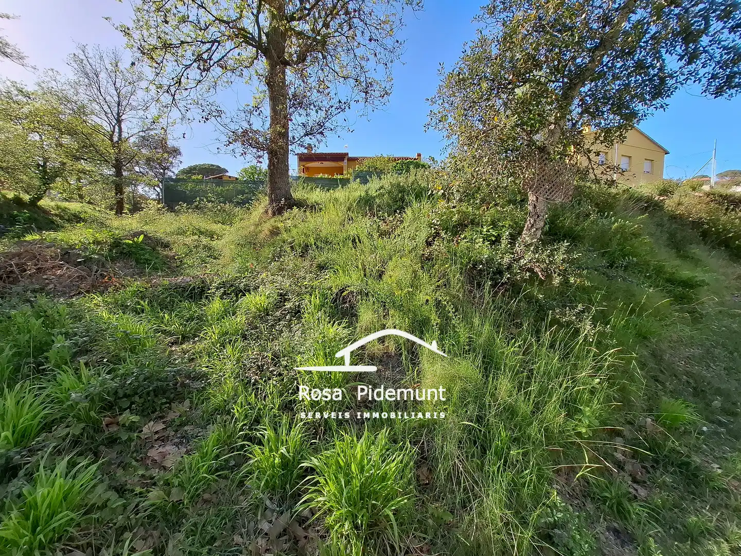 Residential land for sale in Avinguda Arbres, imagen 12