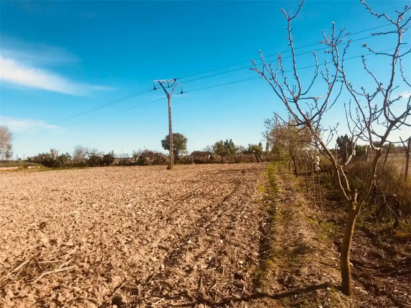 Land for sale in Moraleja